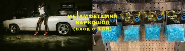 прущие грибы Аркадак