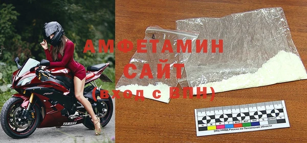 индика Осинники