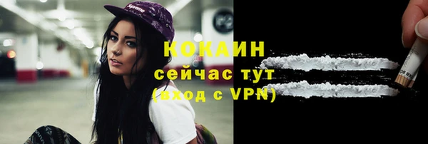прущие грибы Аркадак