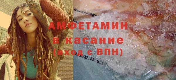 прущие грибы Аркадак